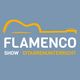Flamenco Show - Gitarrenunterricht