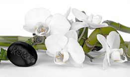Weiße Orchideen und grüner Bambus neben einem schwarzen Stein mit der Aufschrift "Relax".