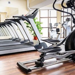 Modern gym with treadmills and elliptical machines on wooden flooring, bright natural light.