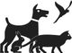 Silhouetten von Hund, Katze, Kaninchen und Vogel nebeneinander auf weißem Hintergrund.