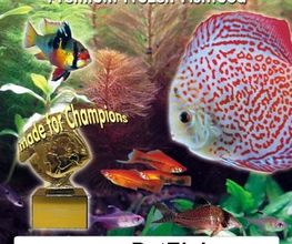 Petfish Logo