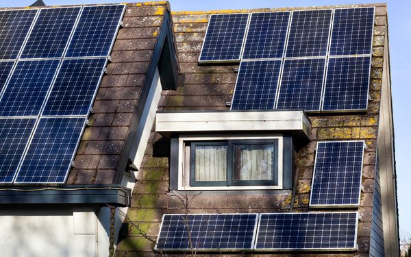 Schattenwurf durch einen Baum auf Solaranlagen