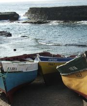 das eigene Leben (wieder) leben