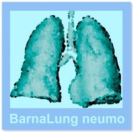 Ilustración de unos pulmones pixelados en azul con el texto "BarnaLung neumo" en la parte inferior.