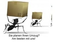 Ameisen tragen Kartons. Text: "Sie planen Ihren Umzug? Am besten mit uns!"