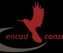 encad consulting GmbH Logo