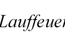 lauffeuer-chemnitz.de Logo