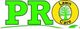 Pro Lawn Care logo with green letters and a tree inside the letter "O".