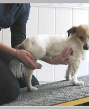 Physiotherapie Muskelaufbau