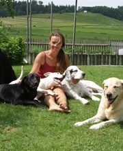 Hundebetreuung