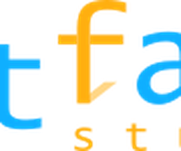 NetFace Logo
