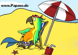 Papagei mit Kopftuch und Sonnenbrille entspannt am Strand unter einem Sonnenschirm.
