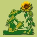 Kind gießt Sonnenblume mit Kanne auf grünem Hintergrund.