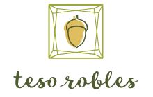 Logo with a geometric acorn above the words "teso robles" in cursive.