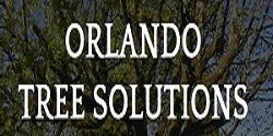 "Orlando Tree Solutions" text on a background of tree branches and leaves.