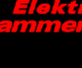 Elektro Lammering Logo