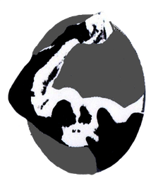 Schwarz-weiße, abstrakte Illustration eines Armes und Gesichts in einem ovalen Rahmen.