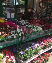Ein Blumenladen mit bunten Blumen auf Tischen im Freien unter Sonnenschein.