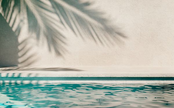 Pool mit Schatten einer Palme