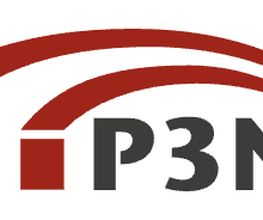 P3N BERATUNGs GmbH Logo