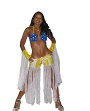 Samba - das Feuer Brasiliens