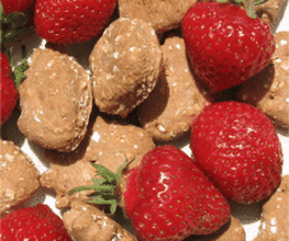 Erdbeeren Hundeleckerchen der Saison