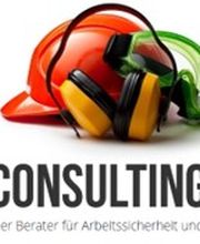 Wild Consulting GmbH Logo
