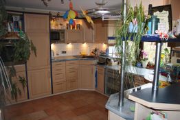 Moderner Küchenraum mit hellen Holzmöbeln, Pflanzen und bunten Dekorationen.