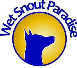 Logo mit Hundekopf-Silhouette, gelber Kreis, blauer Text "Wet Snout Paradise".