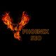 Fiery phoenix illustration with "Phoenix SEO" text on a black background.