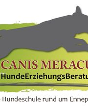 CANIS MERACUS Hundeerziehungsberatung und Mantrailing Coaching Logo