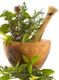 Mortaio in legno con erbe fresche verdi e fiori.