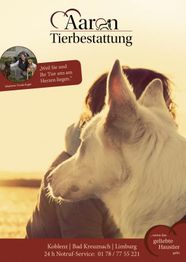 Weiße Hund schaut eine Person im Sonnenuntergang an; Werbung für Tierbestattungsdienst.