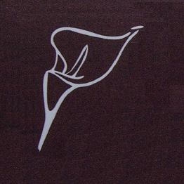 Dibujo de una cala blanca sobre fondo marrón oscuro, estilo minimalista.