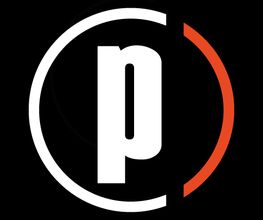People & Projects e.K. - Personal- und Unternehmensberatung Logo