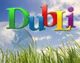Bunter Schriftzug "DubLi" vor blauem Himmel und grünem Gras.