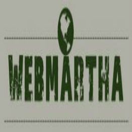 "Logo with 'WEBMARTHA' text and globe graphic in green on a gray background."