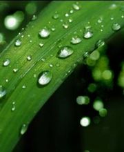 Kosmetik&Haarentfernung Beate Weber Logo