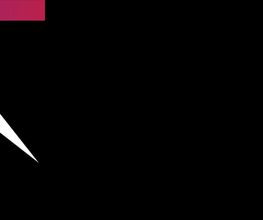 PEAKY PIXEL Logo