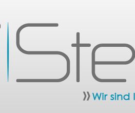 EDV Service Steinig Logo