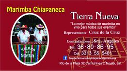Músicos tocando marimba con cartel de "Marimba Chiapaneca Tierra Nueva" y detalles de contacto.