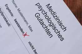 Medizinisches Gutachten mit dem Namen Max Mustermann. "Bestanden" ist angekreuzt.