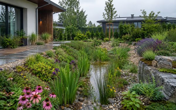 Moderner Schwammgarten mit bepflanzter Versickerungsmulde, Regenwasserrückhalt und klimaangepasster Gartengestaltung am Einfamilienhaus.