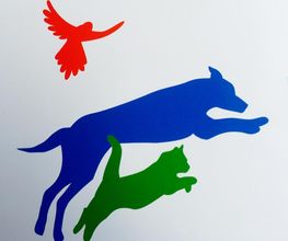 Around the Pet Logo