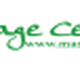 Logo des Massage Centrums mit grüner Schrift auf weißem Hintergrund.
