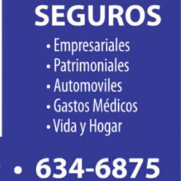 Póster azul de seguros: empresariales, patrimoniales, automóviles, gastos médicos, vida y hogar.