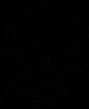PROLINE - Streetfighters Logo