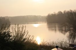 Ein nebliger See mit Sonnenreflexion, umgeben von Bäumen im sanften Morgenlicht.