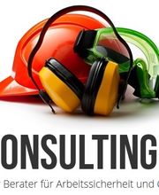 Wild Consulting GmbH Logo