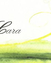 Ferienhaus AnamCara Logo